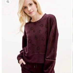 Splendid - Corinna Pullover in Black Cherry Leopard